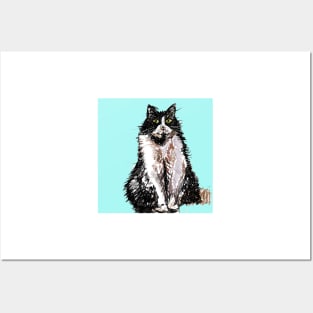 Tuxedo Cat Cute Drawing - on Turquoise Posters and Art